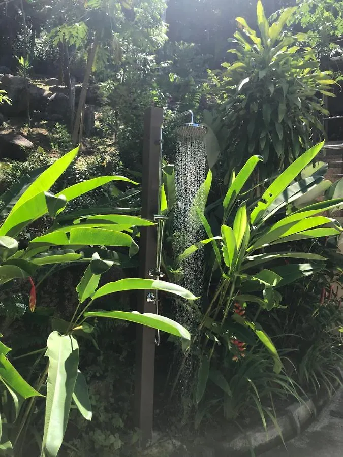 Rock And Palm Lodge Self Catering Appartment Baie Lazare  Apartment Baie Lazare (Mahe)