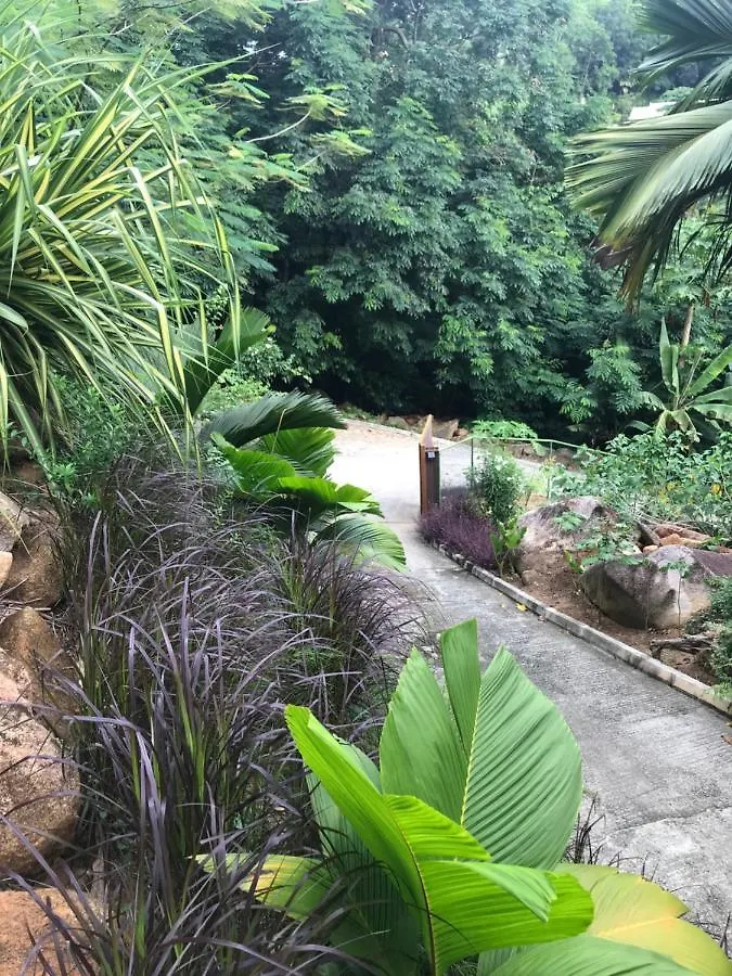 Apartment Rock And Palm Lodge Self Catering Appartment Baie Lazare  Seychelles